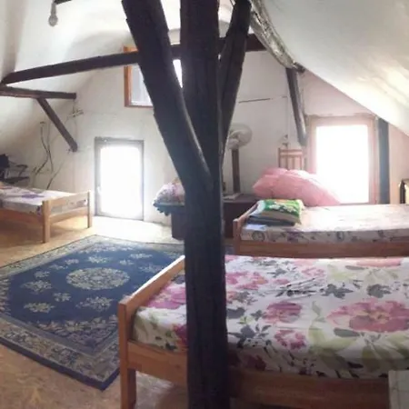 Apartment Vracar Historical Center